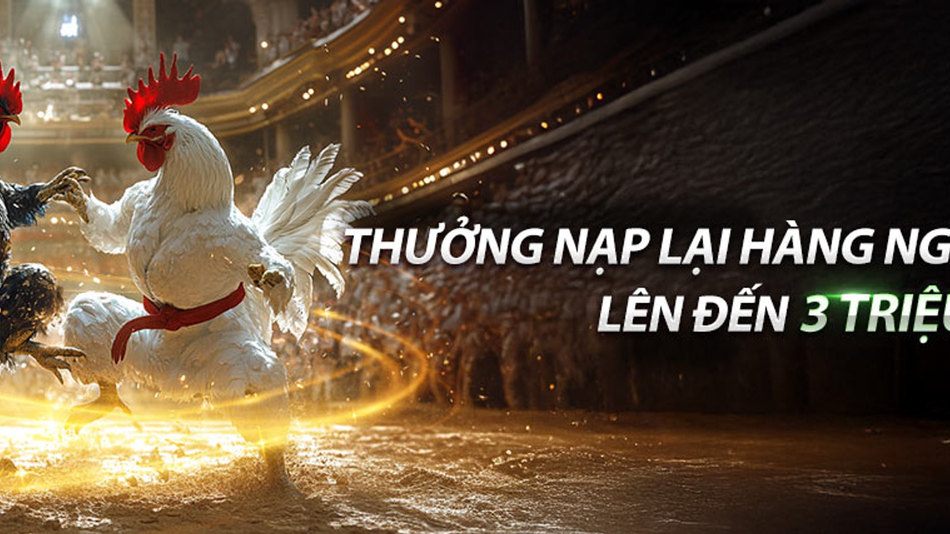 Đá gà trực tuyến sôi động tại Sumvip Club