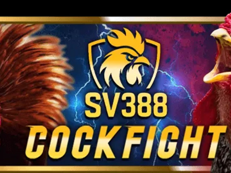 Kinh nghiệm đá gà và xổ số sumvip club