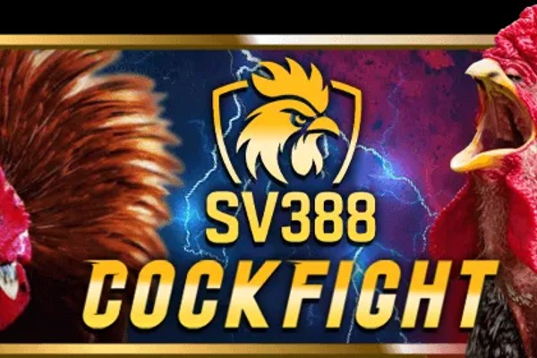 Đá gà trực tuyến sumvip